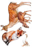 Forest Animals Wall Decal
