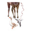 Forest Animals Wall Decal