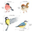 Little Garden Birds Wall Decal